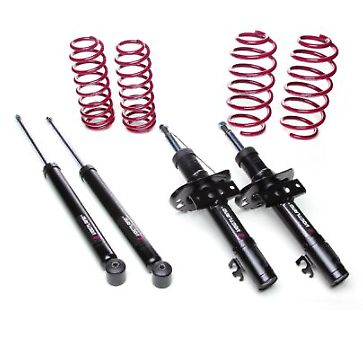 Kit sospensioni ribassate 208 Typ C NON PER GTI  -30mm