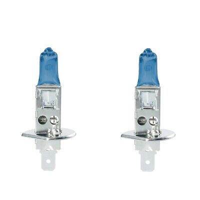 H1 Plasma White alogena 2 pezzi 800 lm 4300°K 55W 12V