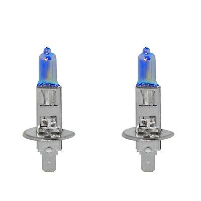 H1 Hid Style alogena 2 pezzi 1000 lm 6000°K 55W 12V
