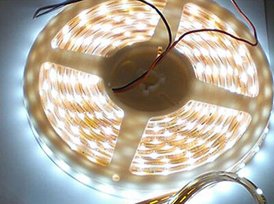 24V Bobina Striscia Led 5 Metri Bianco Freddo Impermeabile IP67