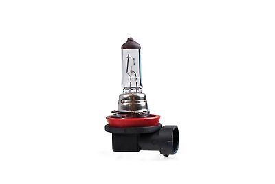 LOTTO DI 10 PEZZI Lampada alogena M-TECH PGJ19-1 12V/35W H8