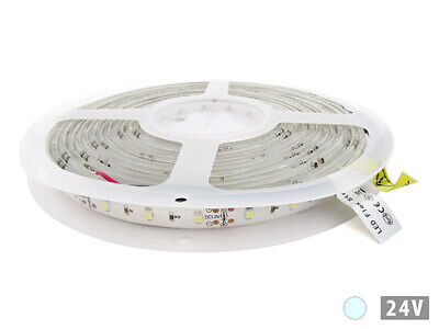 24V Bobina Led 5 Metri 300 Smd 3528 Bianco Freddo Tagliabile IP65 Biadesivo Per