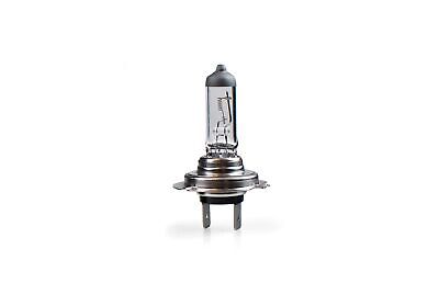 Lampada alogena M-TECH PX26d 24V/100W H7