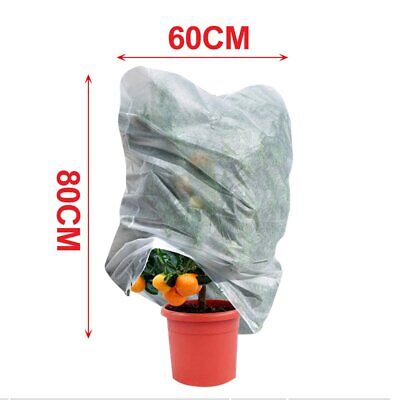 6 Pezzi Cappuccio Protettivo per Piante Materiale TNT 17g/m&sup2; 60X80cm Sacco