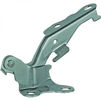 Cerniera cofano destra HILUX 05-11