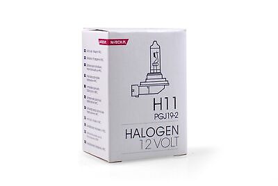 Lampada alogena M-TECH PGJ19-2 12V/55W H11