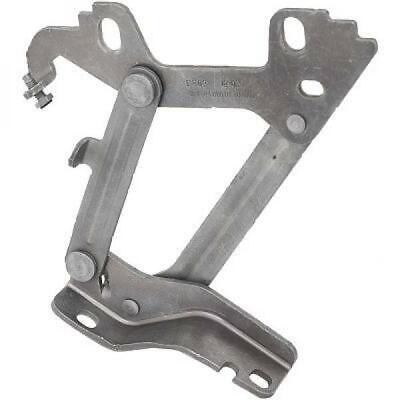 Cerniera cofano sinistro GLK X204 08-16