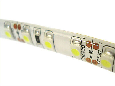 Bobina Led 40W 12V Colore Blu 600 SMD 5 Metri Sfondo Bianco Biadesivo Siliconato