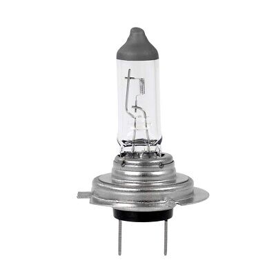 LOTTO DI 10 PEZZI Lampada alogena M-TECH PX26d 12V/55W H7