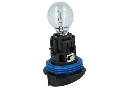 1 Lampada Alogena Luce HP24W P24W 12V 24W trasparen Compreso Base Attacco Diurne