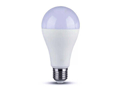 Lampada Led E27 A65 15W 1350lm Bianco Caldo 2700K Bulbo Sfera SKU-4453 <table