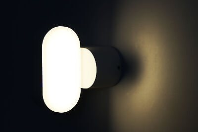 Applique Led Da Parete Dayna 6W Neutro 4000K Carcassa Bianca IP65 Ovale