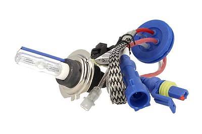 Lampada Hid Xenon H7 4300K Accensione Veloce +50% Luminosita 35W Piu Gas Xenon A