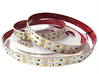 24V Bobina Led 16mm 30W/M Bianco Freddo 960 SMD 2835 5 Metri <p