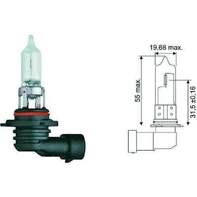 Lampadina HB3 [9005] 12V 60W P20d