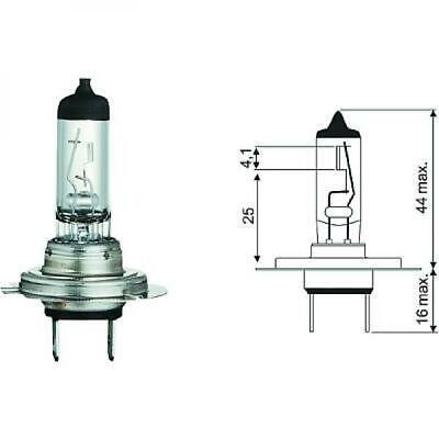 Lampadina H7 12V 55W PX26d Longlife