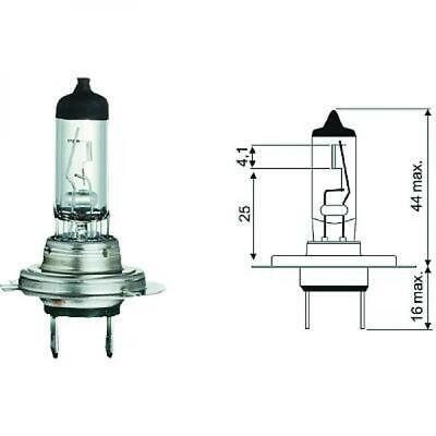 Lampadina H7 12V 55W PX26d Standard