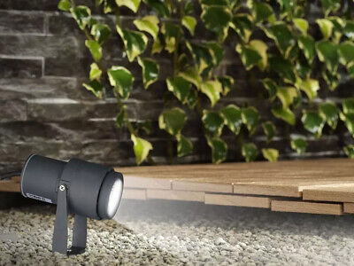 Faretto LED da Giardino 12W con Picchetto Colore Grigio Luce Verde IP65