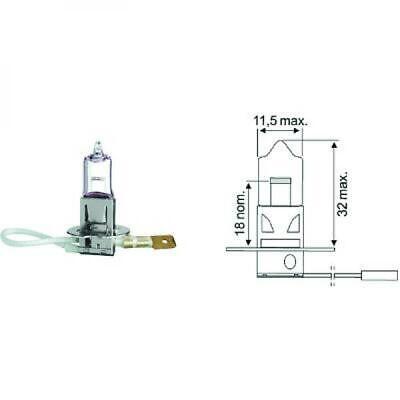 Lampadina H3 12V 55W PK22s Standard