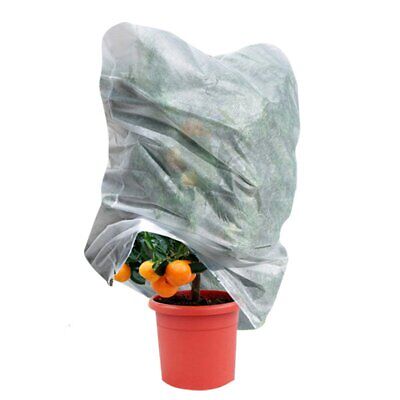 3 Pezzi Cappuccio Protettivo per Piante Materiale TNT 17g/m&sup2; 100X160cm