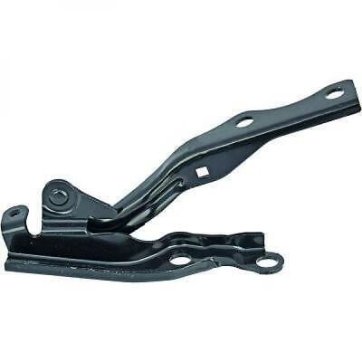 Cerniera cofano sinistro 2 03-07