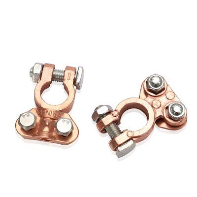 Coppia Morsetti Terminali Batteria Auto <ul><li>I della sono realizzati in rame