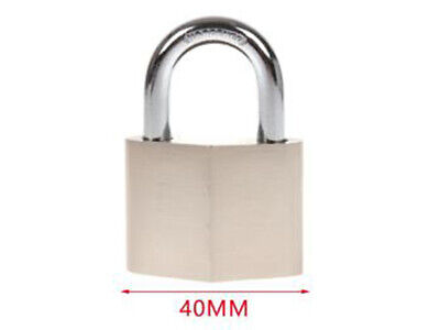 Lucchetto Acciaio Inossidabile 40mm Con 3 Chiavi <ul><li>Lucchetto In