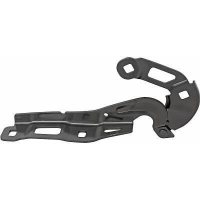 COMPATIBILE CON FORD COFANO PAR.LI. FOCUS, CERNIERA 19-