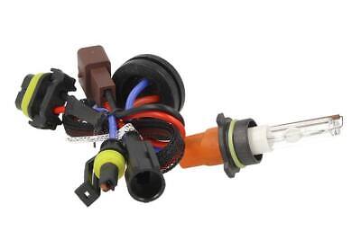 Lampada Hid Xenon P13W 6000K <p style="text-align:center;"> <b>Una PG18.5d-1