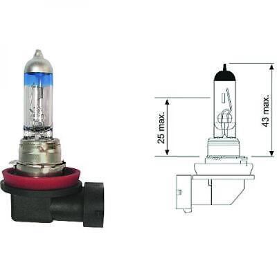 MERCE H11 12V 55W PGJ19-2 LAMPADINA alogena