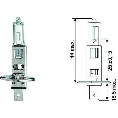 Lampadina H1 12V 55W P145s Standard