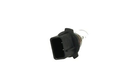 Lampada Alogena P13W 12V 13W PG18.5d-1 Clear Compatibile  12277C1