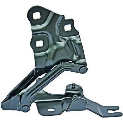 Cerniera cofano sinistro X3 F25 10-17 tutti i modelli