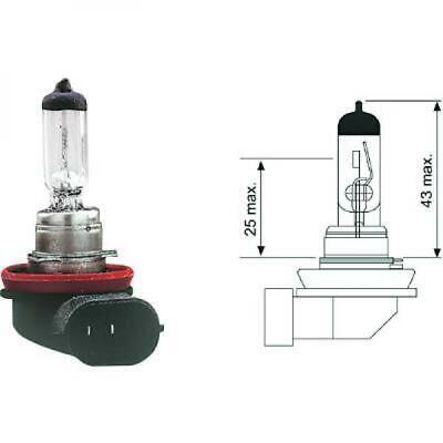 Lampadina H8 12V 35W PGJ19-1
