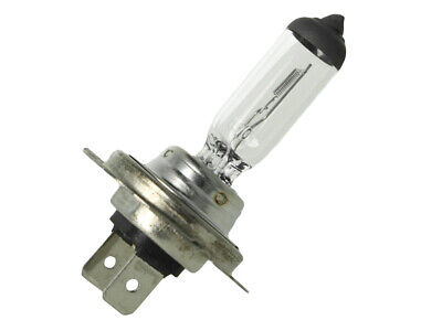 Lampada Alogena Auto H18 12V 65W PY26d-1 Marca CARALL Ecosport e Kuga