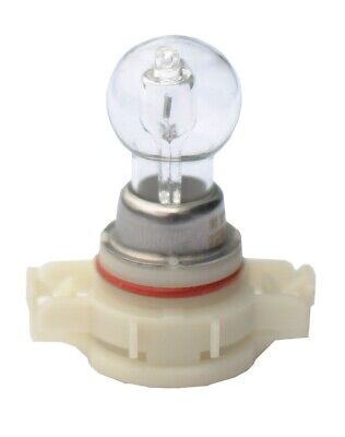 Lampada alogena M-TECH PG20-7 12V/24W PSX24W 12V AMBER