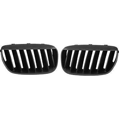 Calandra Griglia Mascherina TUNING X5 03-07 compl. nero