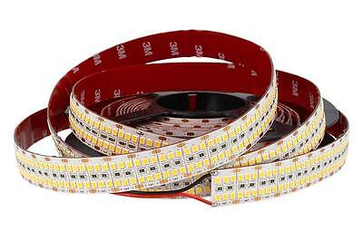 24V Bobina Led 20mm 75W/M Bianco Neutro 2400 SMD 2835 5 Metri