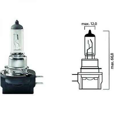 Lampadina H11B 12V 55W PGJY19-2