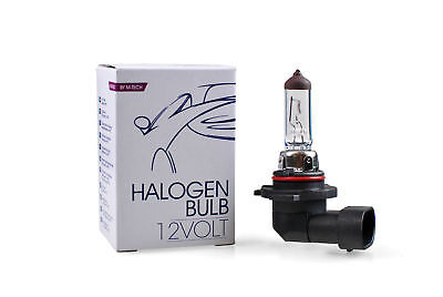 Lampada alogena M-TECH PZ20D12V/53W H12