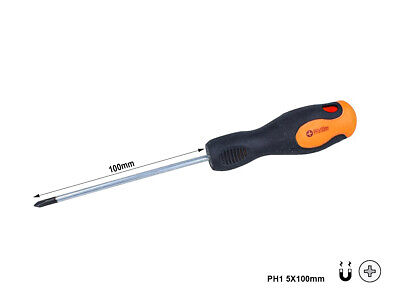 Cacciavite a Croce PH1 5X100mm Con Punta Magnetica <ul> <li> Lama In Cromo