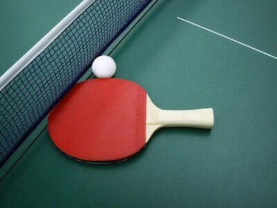 2 Racchette Ping Pong Con 3 Palline Rete da Tavolo <ul><li>kit due e standard