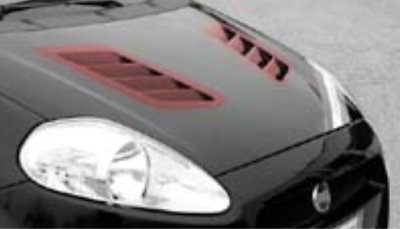 Kit Prese d' Aria Per cofano Originale grande Punto In vetroResina cadamuro