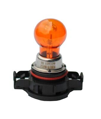 Lampada alogena M-TECH PG20-2 12V/19W PSY19W
