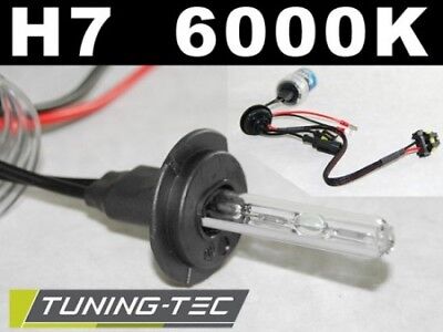Lampadine HID H7 6000K