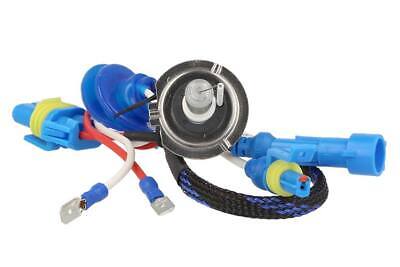 Lampada Hid Xenon H7 6000K Accensione Veloce +50% Luminosita 35W Attacco In