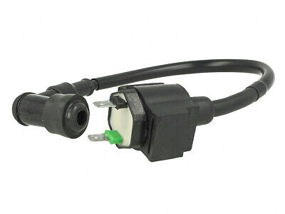 Bobina Alta Tensione OKYAMI Per NH Lead 50 SC 50 Metropolis 30500