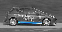207 Alettone posteriore