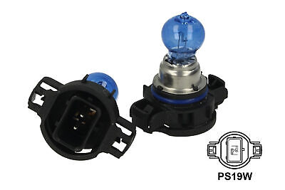 Lampada PS19W 12V 19W PG20-1 Super White Effetto Xenon Bianco Per Tiguan Jag