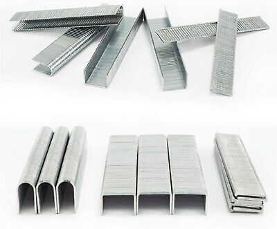 1200pcs Set Punti Per Graffatrice Tipo D, U e T <ul><li>Set di professionale,